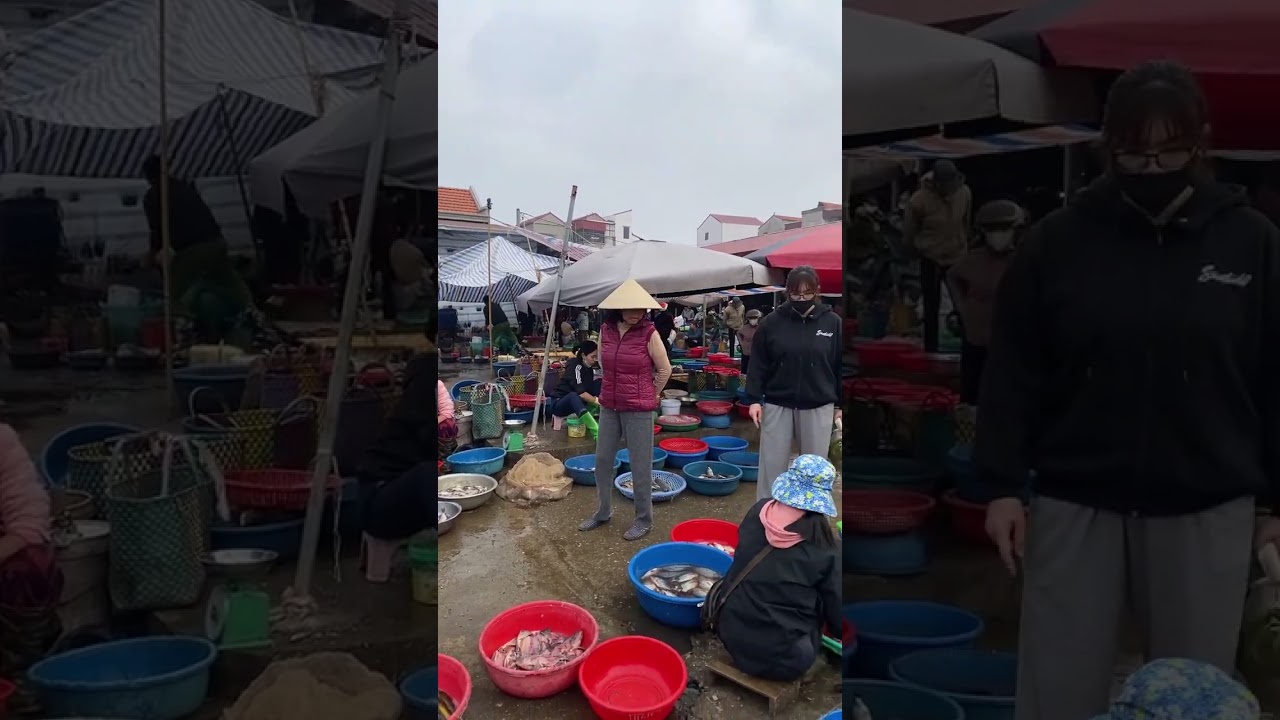 Traditional Vietnamese market life in Ninh Binh