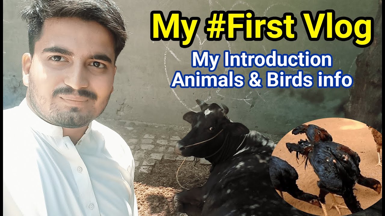 My First Vlog | Introduction | @QualityAseel