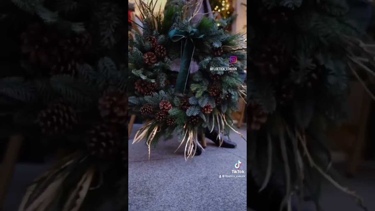 The Magic of Christmas, Delivered 🎄🚗💫