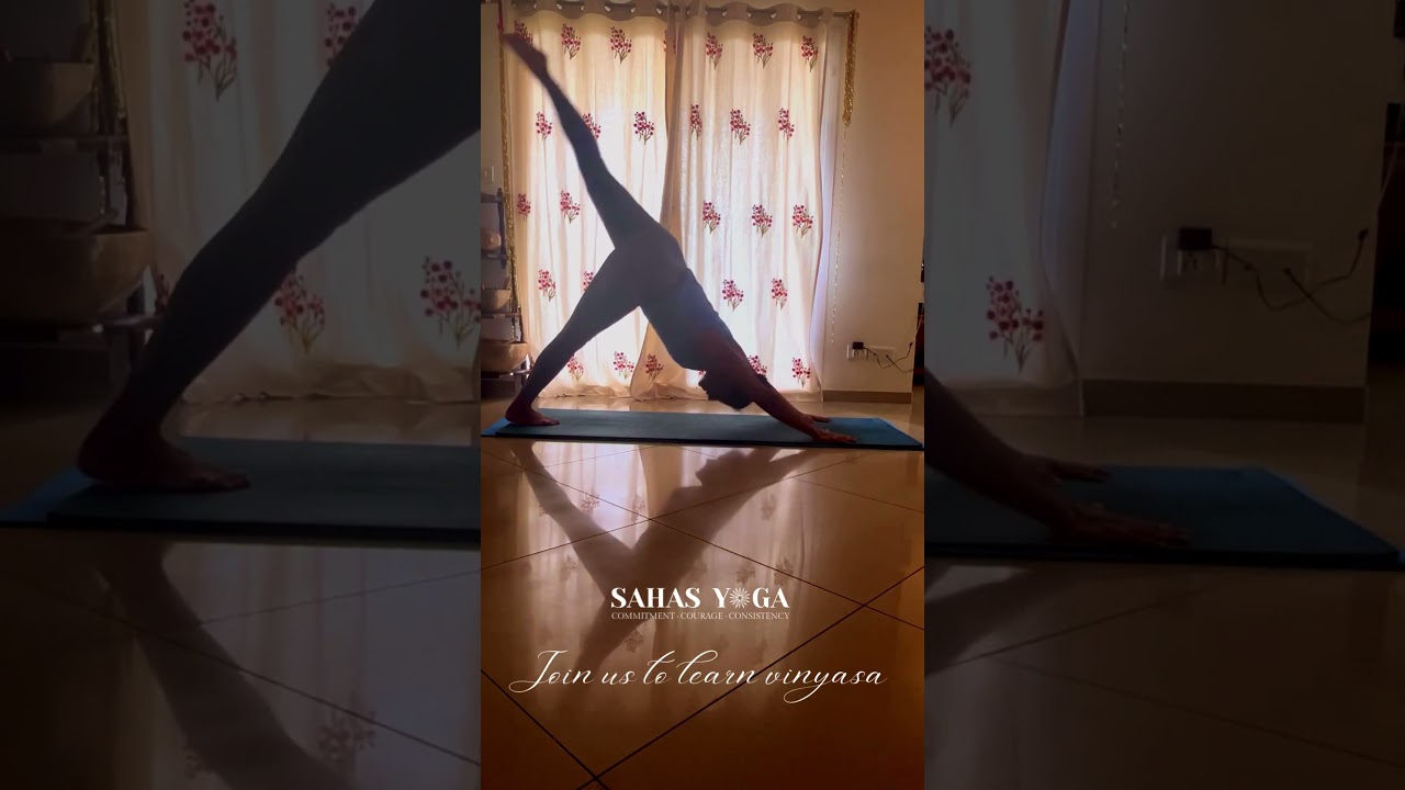 Vinyasa yoga - #dance #vinyasa # #yogapractice #sahasyoga #vinyasayoga #danceyoga #classicalyoga