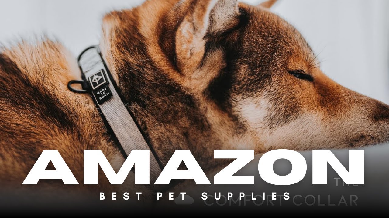 🐕 Comfortable & Stylish! MADE TO ROAM Adjustable Dog Collar with Soft Padding ✨