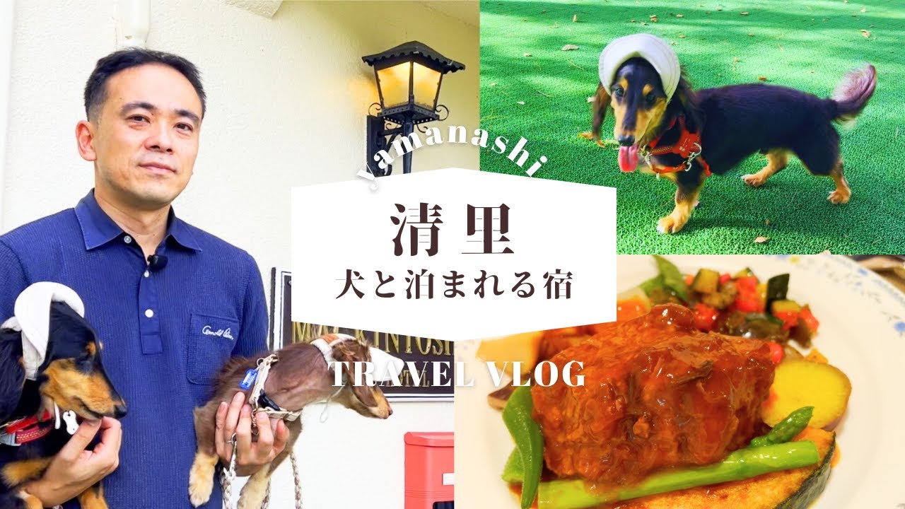 【犬連れ旅行山梨清里宿】愛犬と泊まれる宿「ペンションマッキントッシュ」さんに宿泊🐶🐶💤1泊2日わんこ旅2/3 2024.7