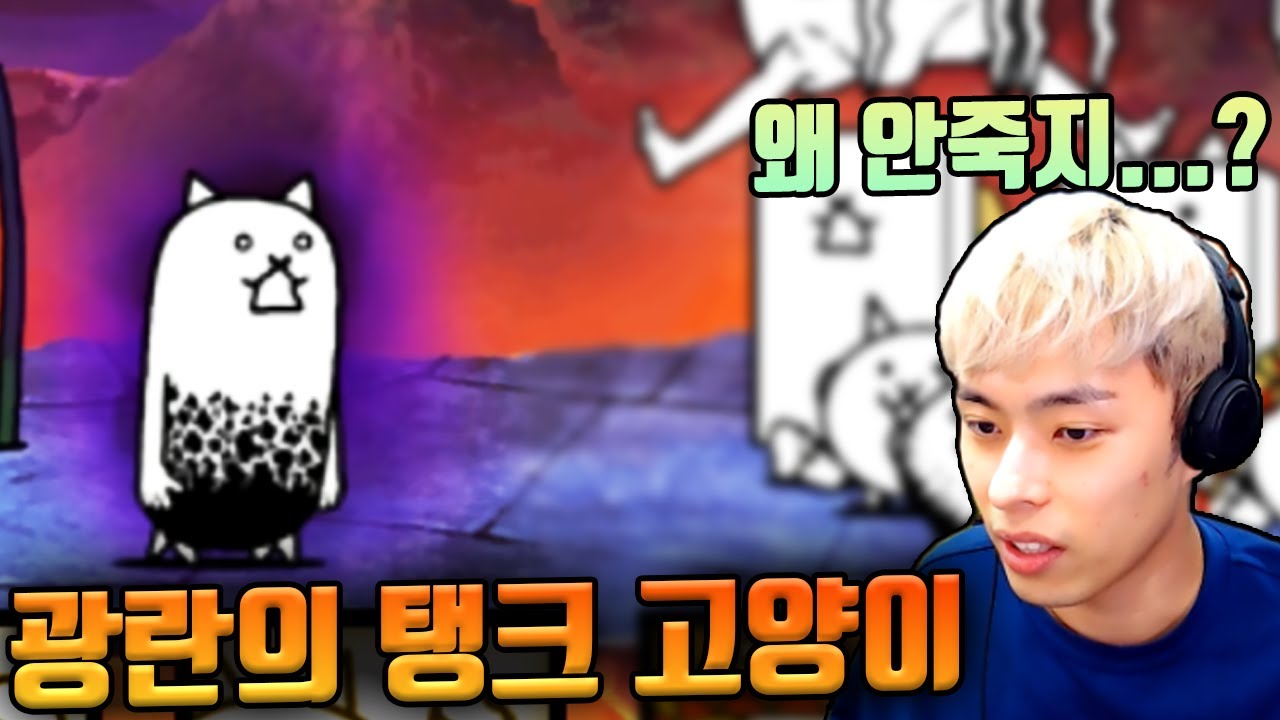 무조건 얻어야 하는 고양이 ?! :: 냥코대전쟁