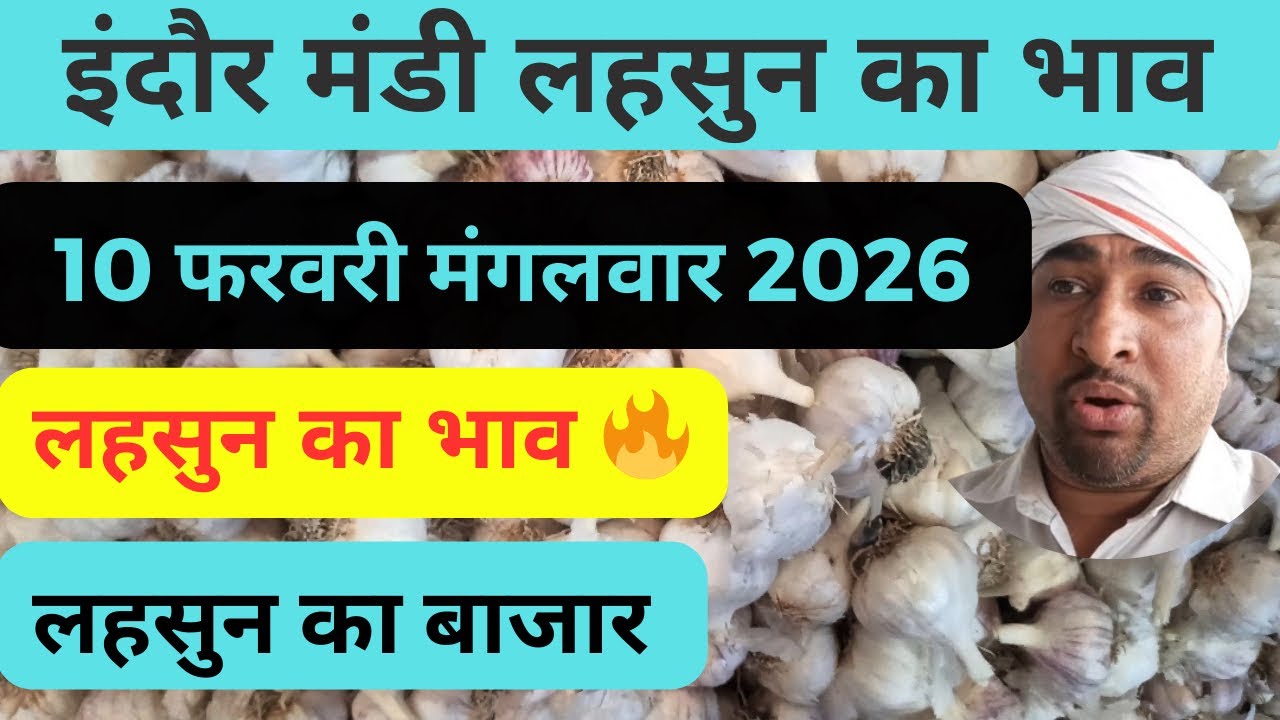 indore mandi lahsun ka bhav          #lahsunaajkabhav  #garlicpricetoday 