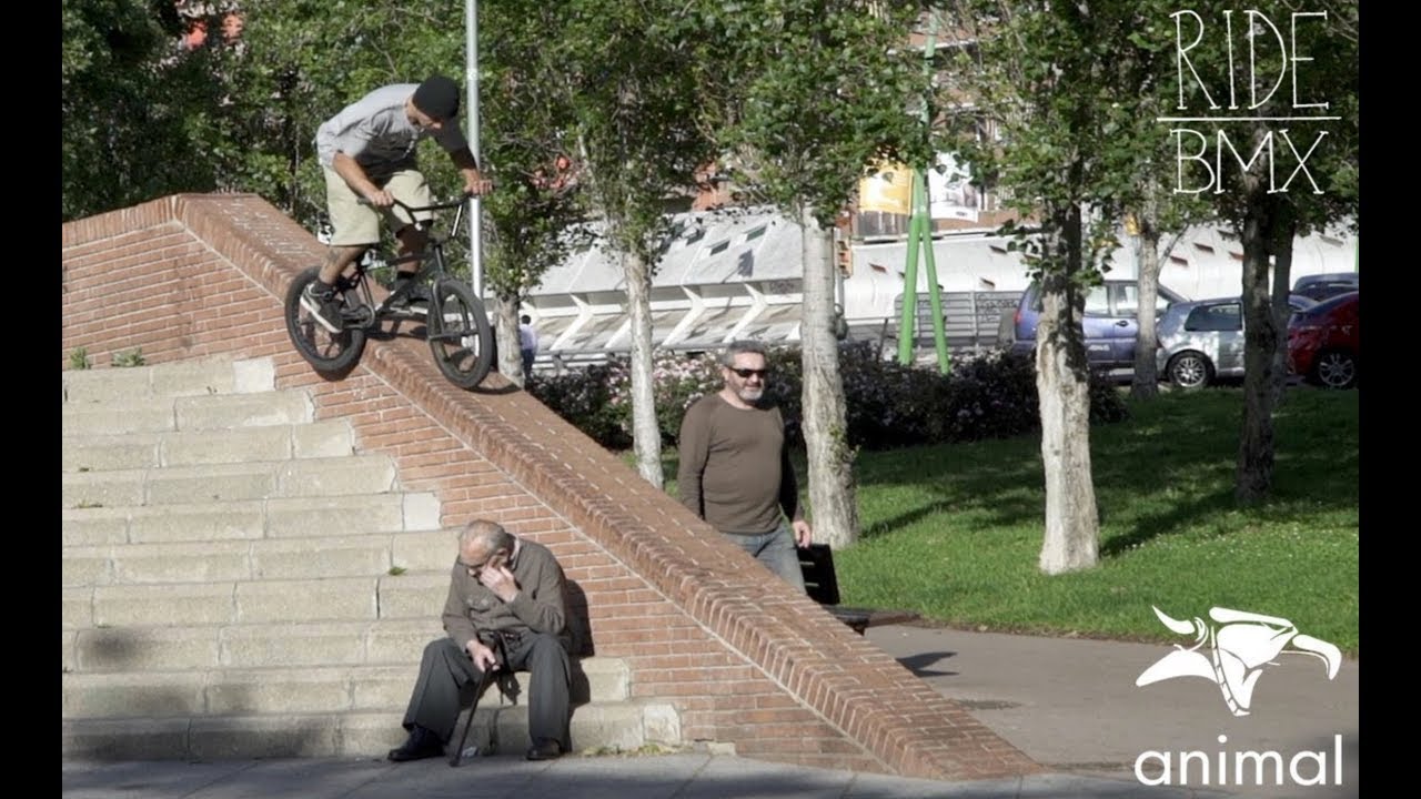 BMX - ANIMAL BIKES 