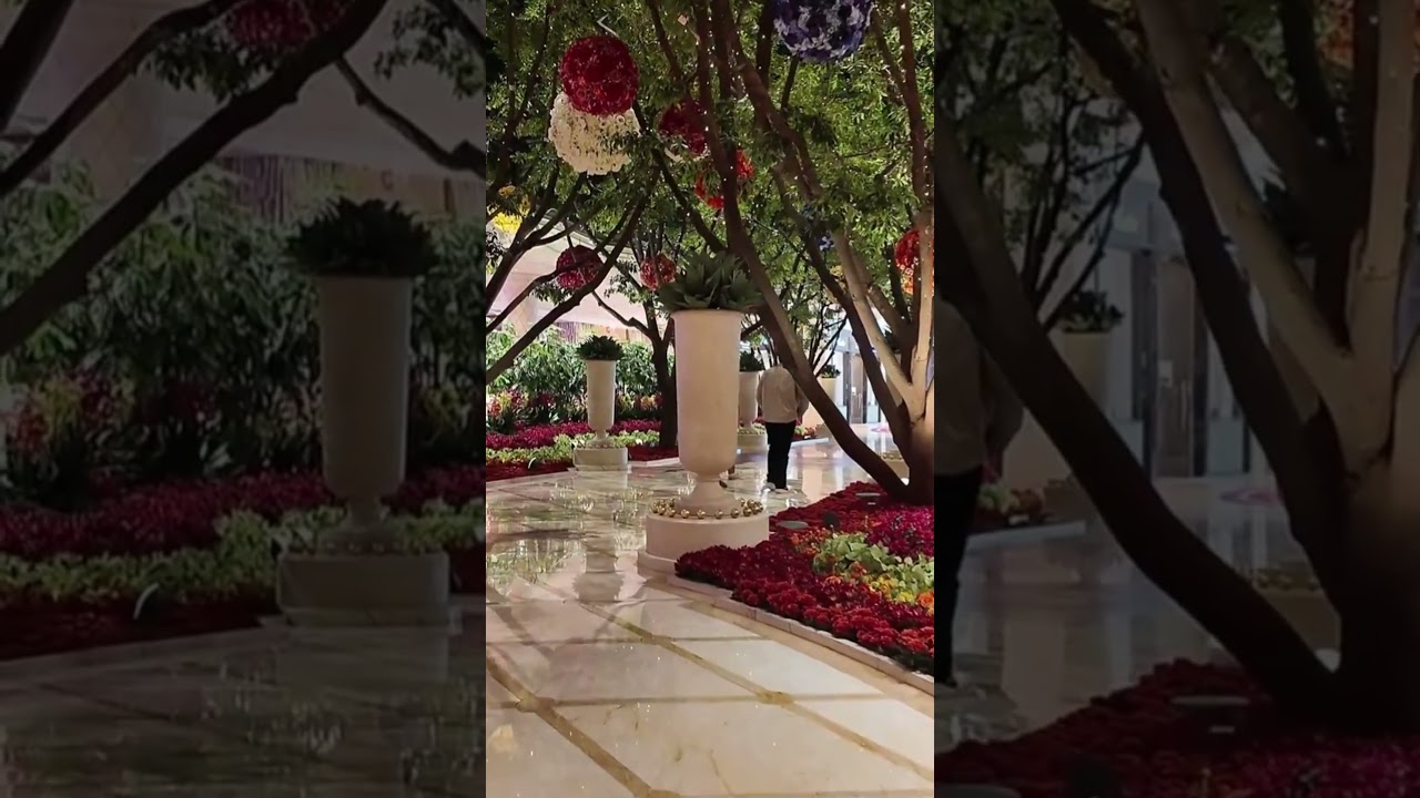 Wynn indoor  trees  #vegasirl #vegas #casino #bestoflasvegas #lasvegascasinos #lasvegas