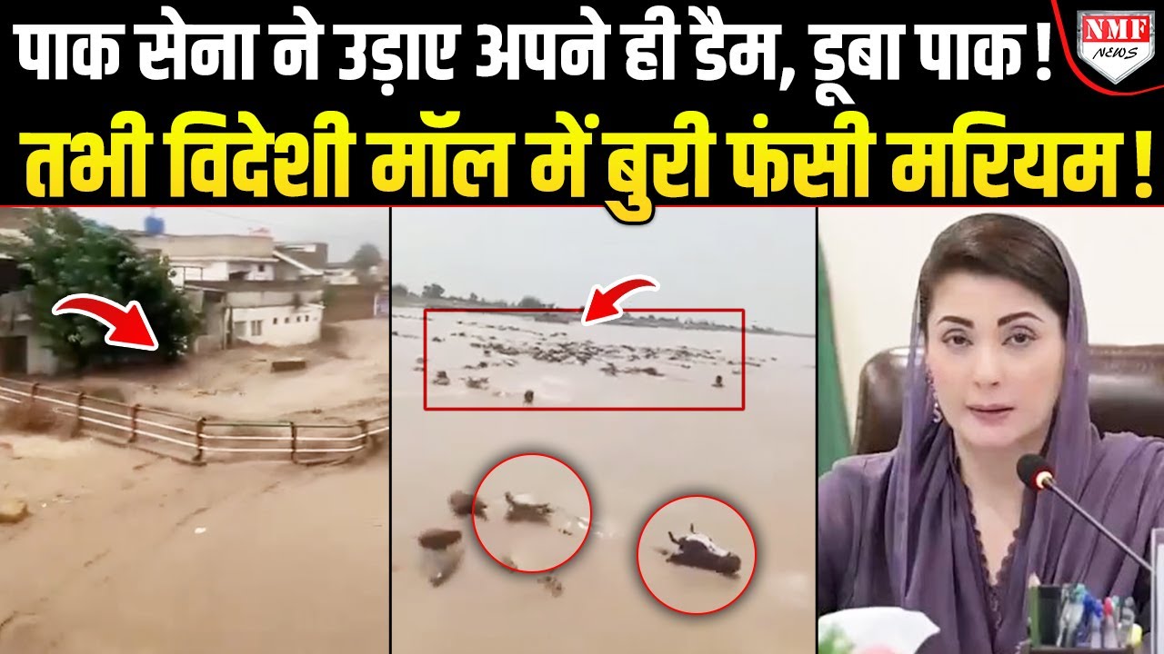 हाहाकार, मौतों से दहशत, भुखमरी के बाद पानी की मार से पाकिस्तान तबाह, विदेश में फंसे नेता!