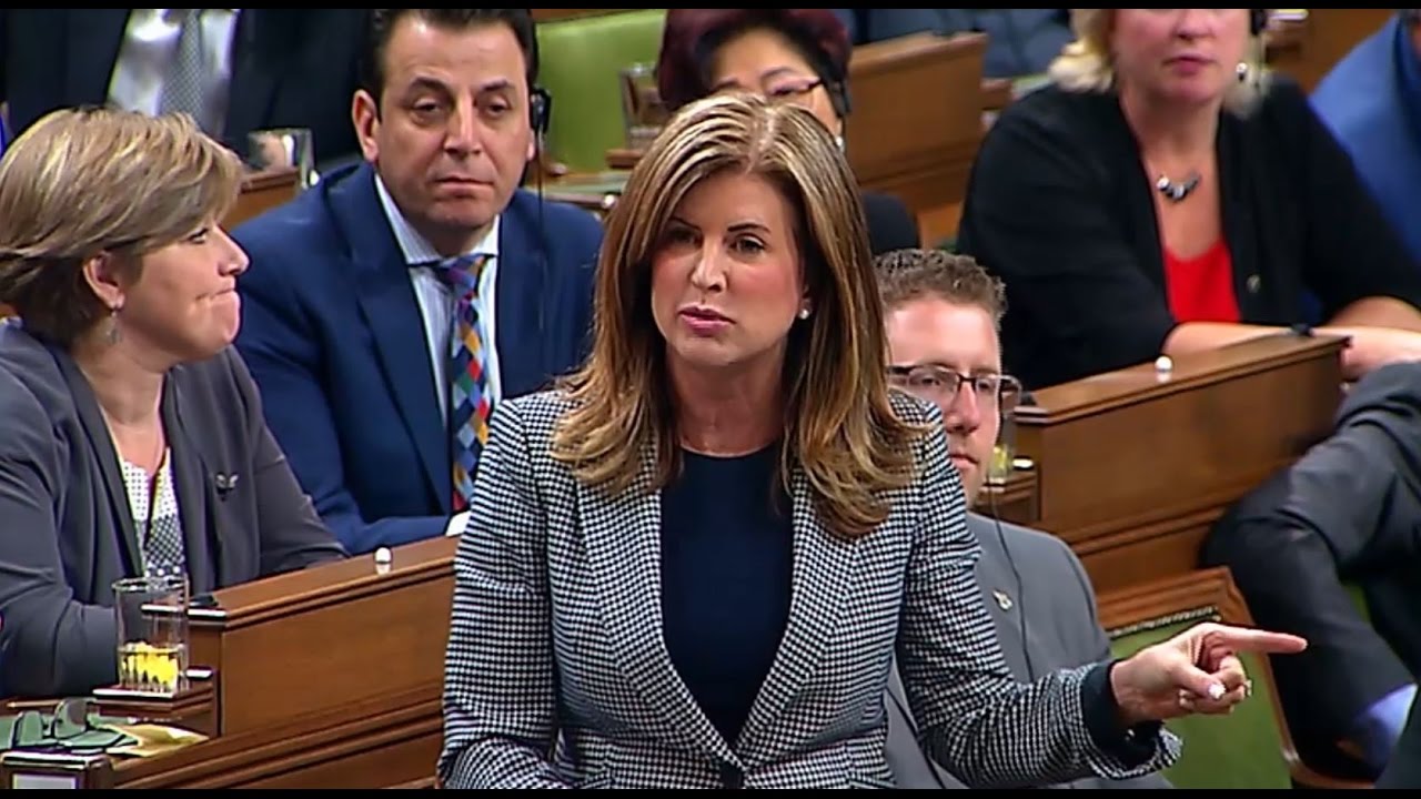 Step aside, Harjit Sajjan.