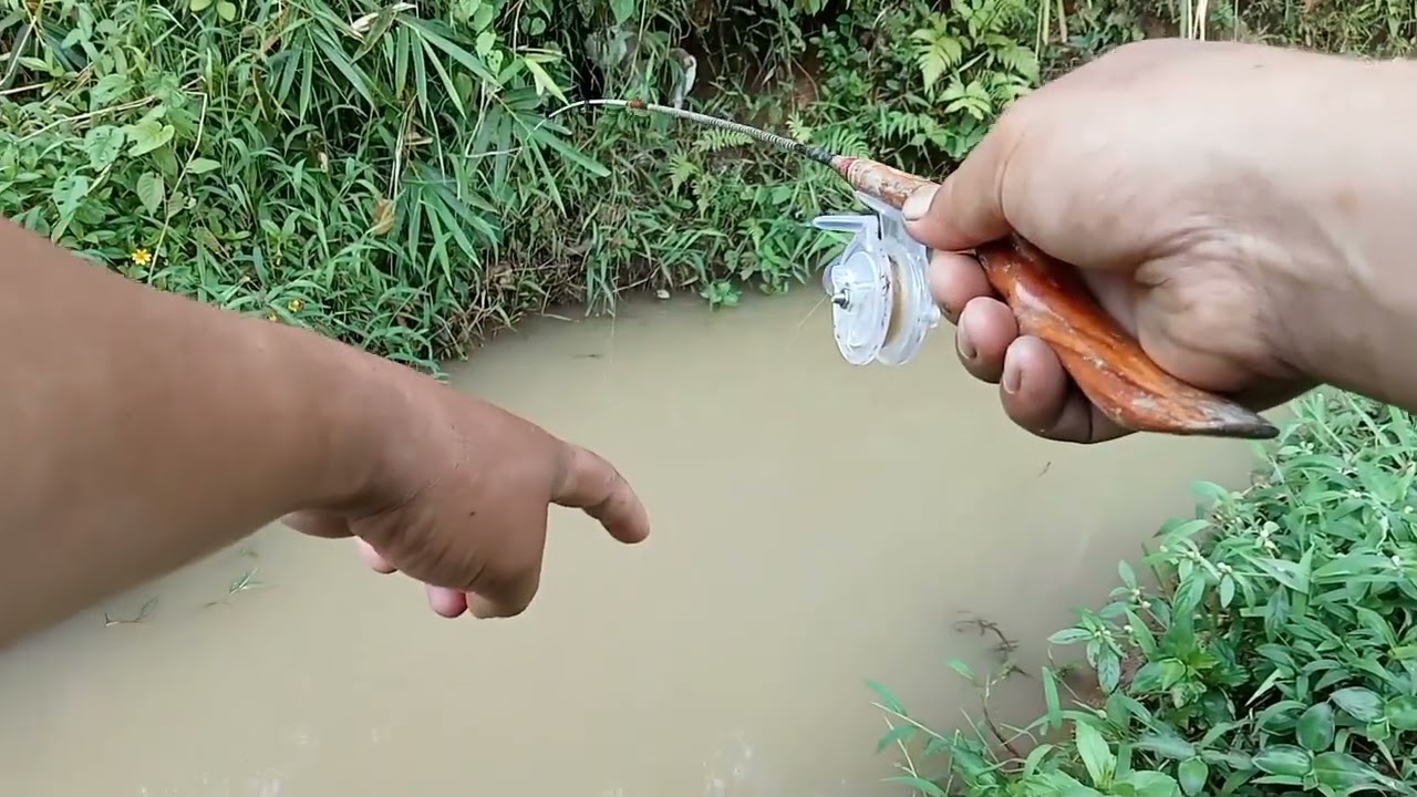 Mancing Udang Poin Banyak
