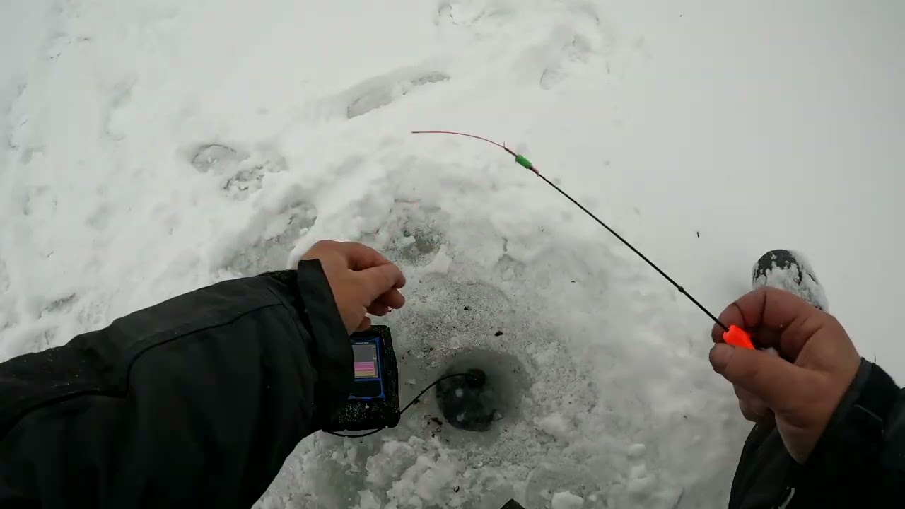 Прикормка вкусней мотыля, глухзимье, отчёт № 438