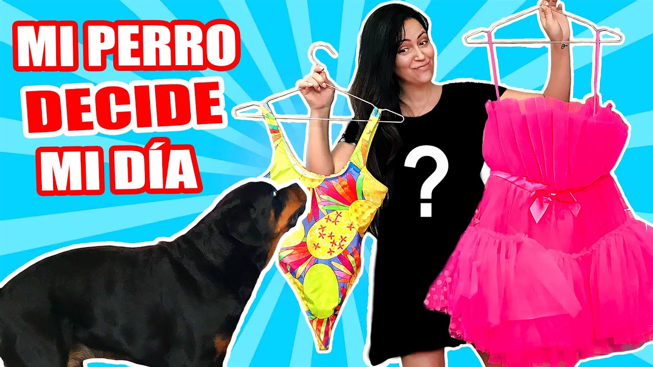 MI PERRO DECIDE MI DÍA 😱 Maquillaje, Ropa, Comida OMG 😅 Reto Sandra Cires Art