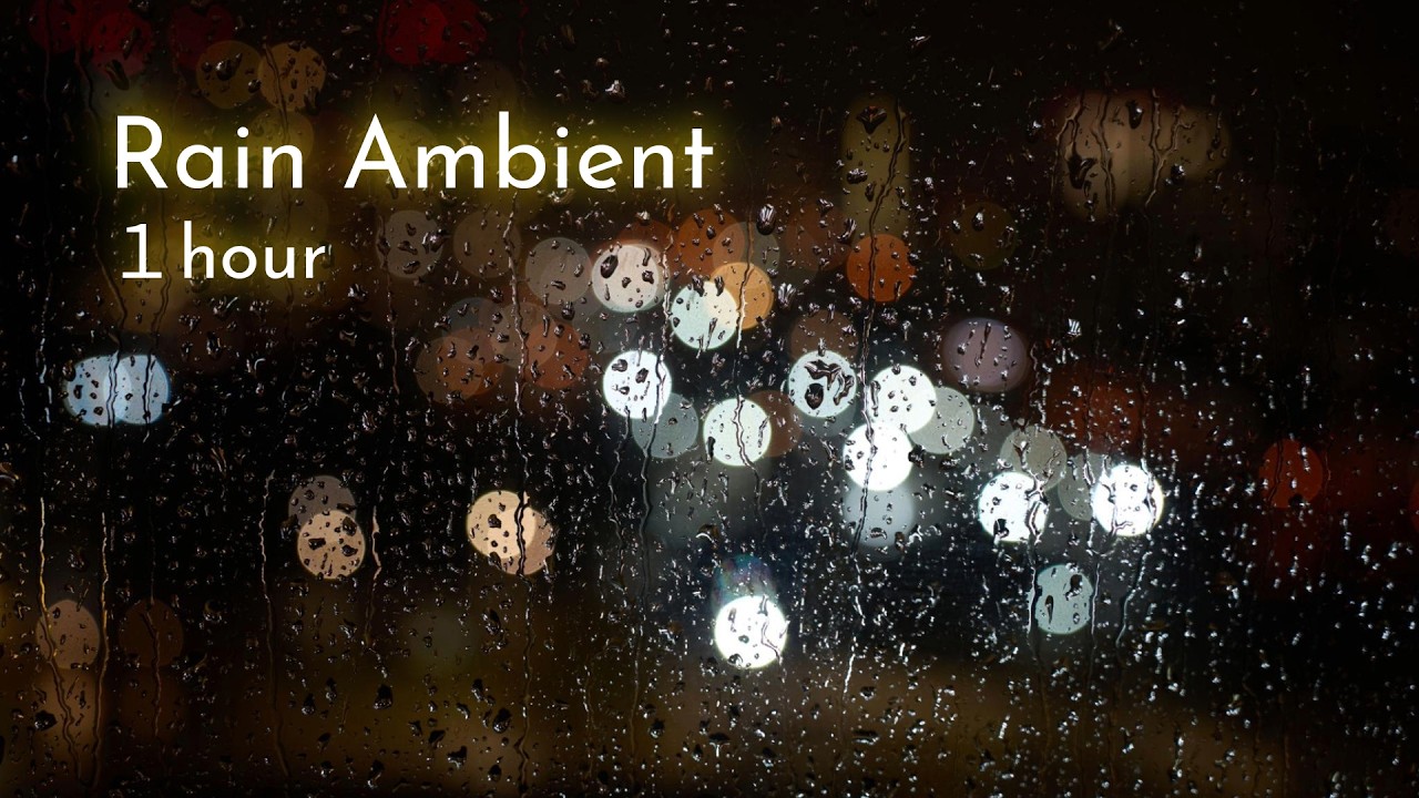 Rain Ambient — Rain Sounds for Relaxing & Study (1 Hour)