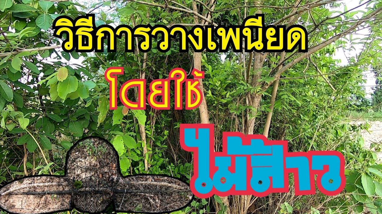 วิธีการวางเพนียดโดยใช้  