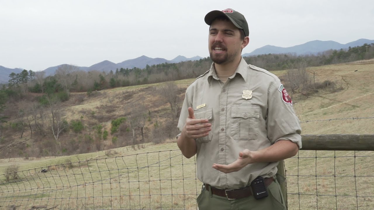 Shortleaf Pine Restoration - SAHC Community Farm