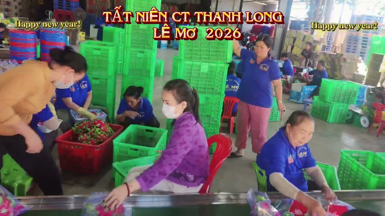 Thanh long Lê mơ.