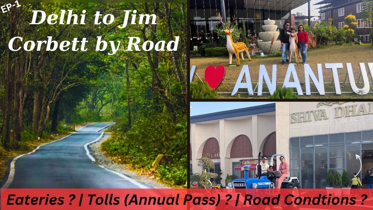 Delhi To Jim Corbett By Road | Delhi To Ramnagar | Shiva Dhaba | Complete Details | Travel Vlogs