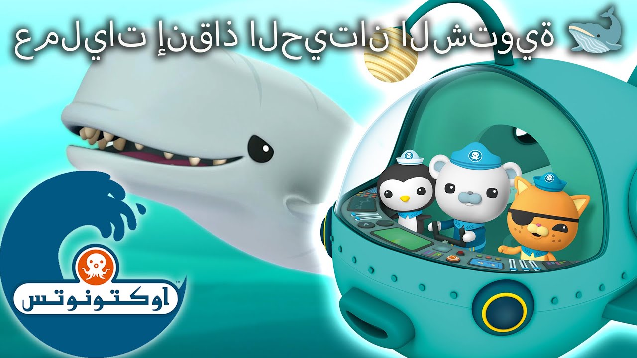 أوكتونوتس | عمليات إنقاذ الحيتان الشتوية  🐋 🛥️ | حلقات مجمعة