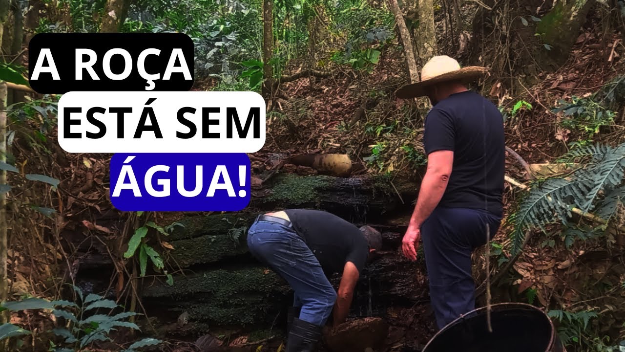 ACABOU A ÁGUA NA ROÇA! Veja o Que Aconteceu Quando a Conta Chegou 💧😱