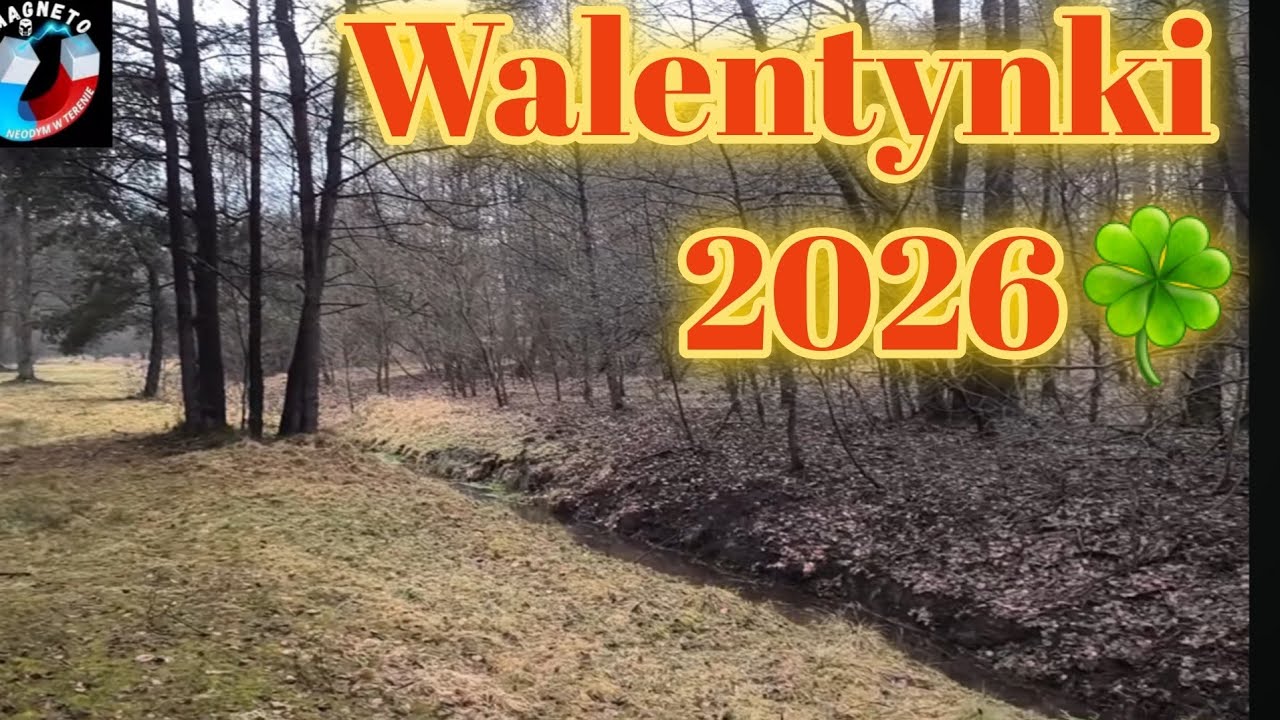 Jak luty to i powoli zbliżają się walentynki 🌲🌳🍀🥰 #las #rzeka #walentynki #ziemia #nature