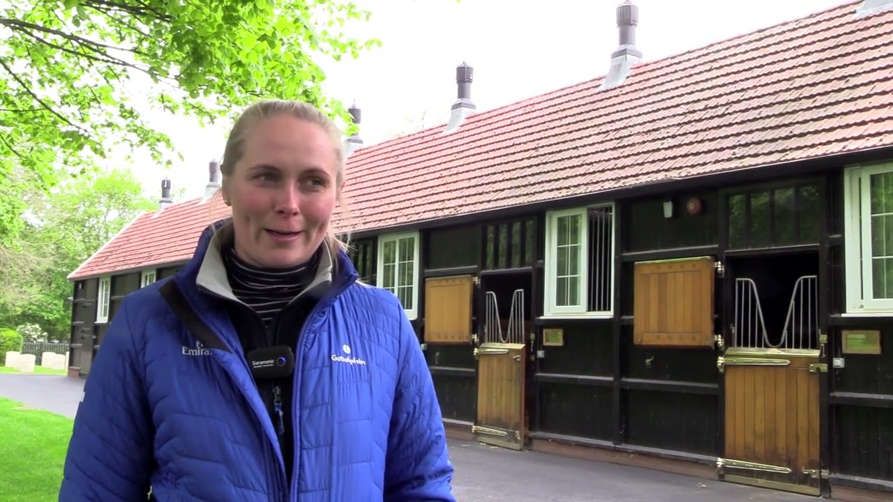 Inside Dalham Hall Stud