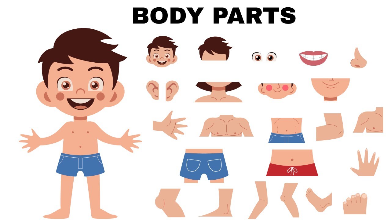 Human Body Parts Names in English | Learn Body Parts Vocabulary Easily with Pictures