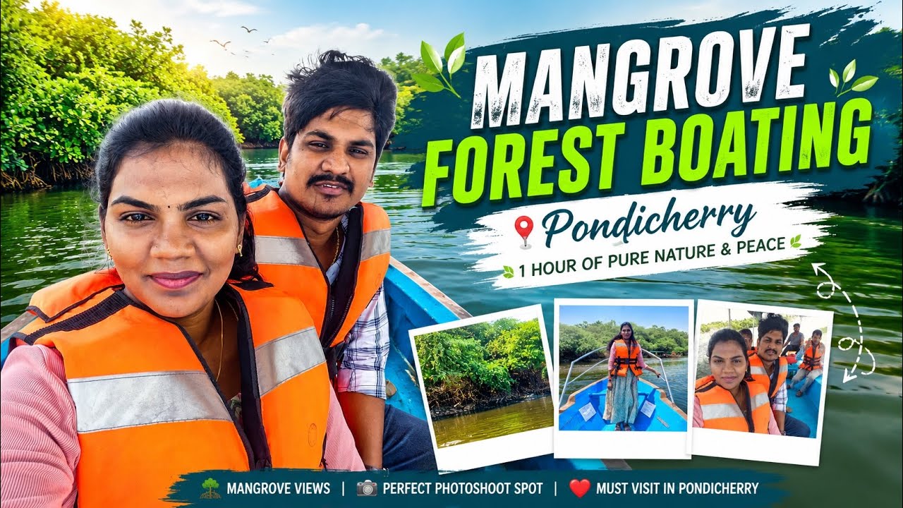 The Hidden Beauty of Pondicherry Mangroves: Boating Adventure Mangrove Forest | Pondicherry Boating