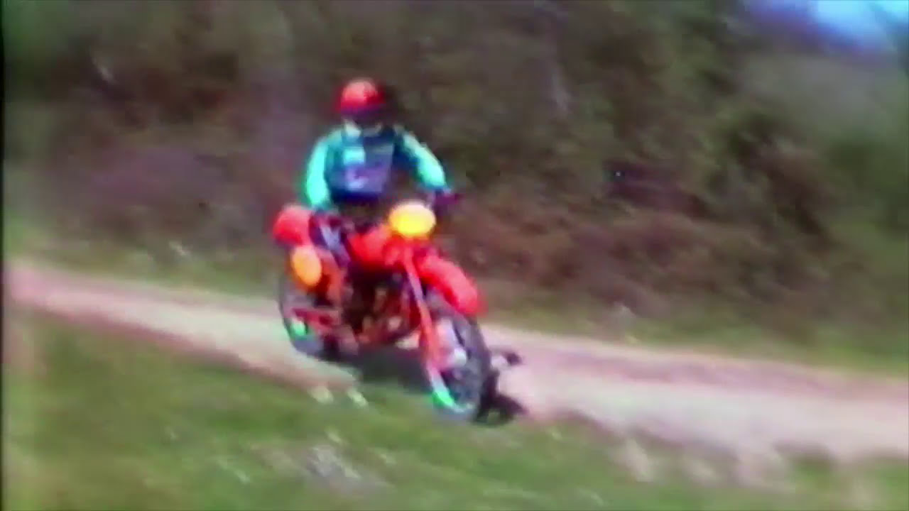 SWM 440 TT (1982)