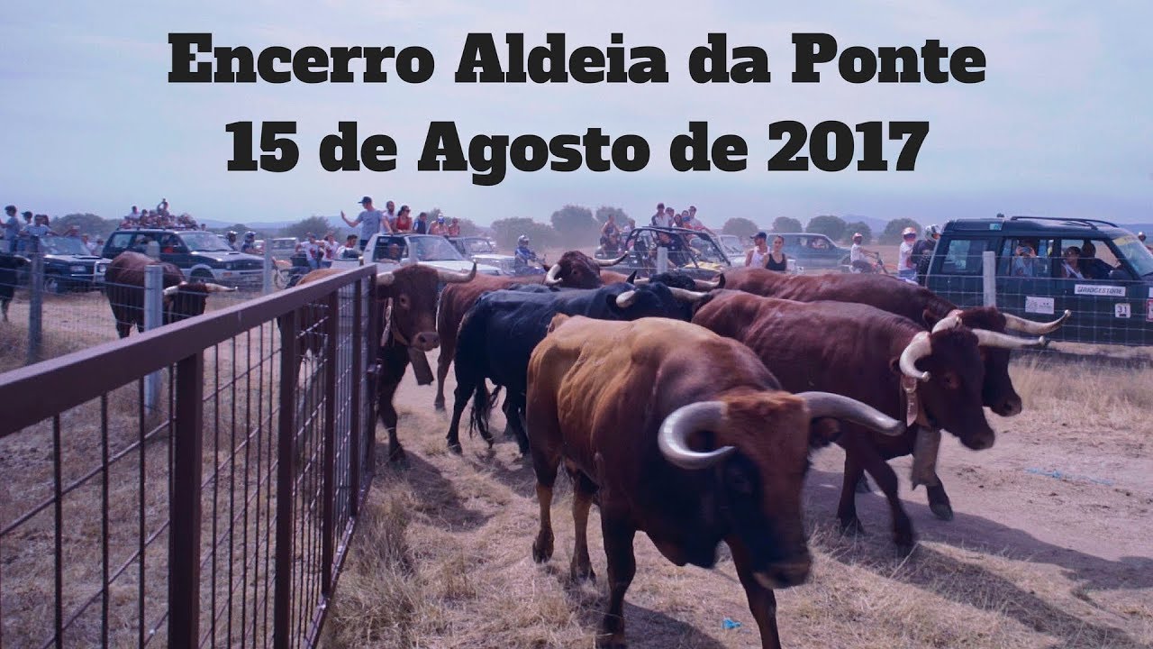 Encerro Aldeia da Ponte, 15 de Agosto de 2017