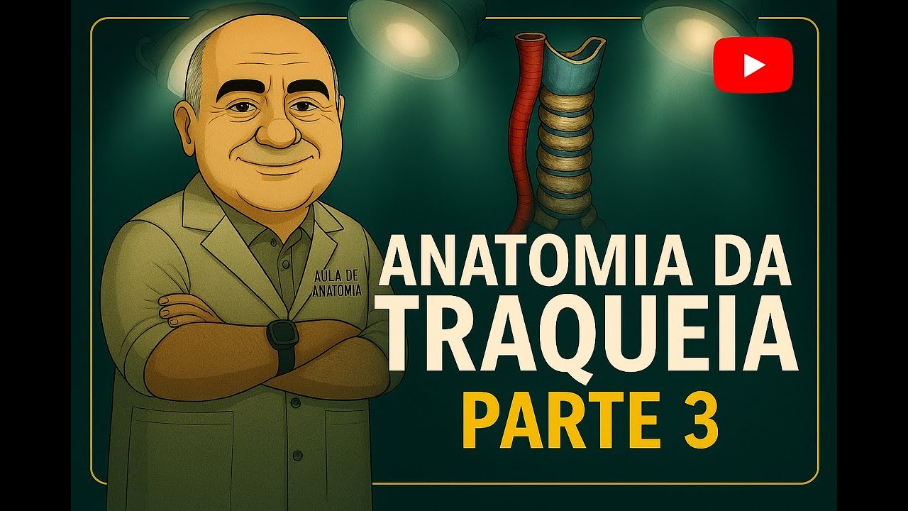 ANATOMIA DA TRAQUEIA  - PARTE 3