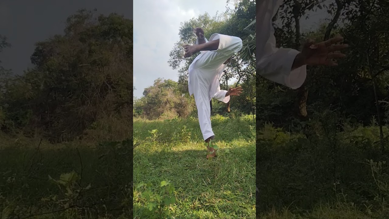 Mawashi hiza geri පාපහර පුරුදු වෙමු #masterpramil 