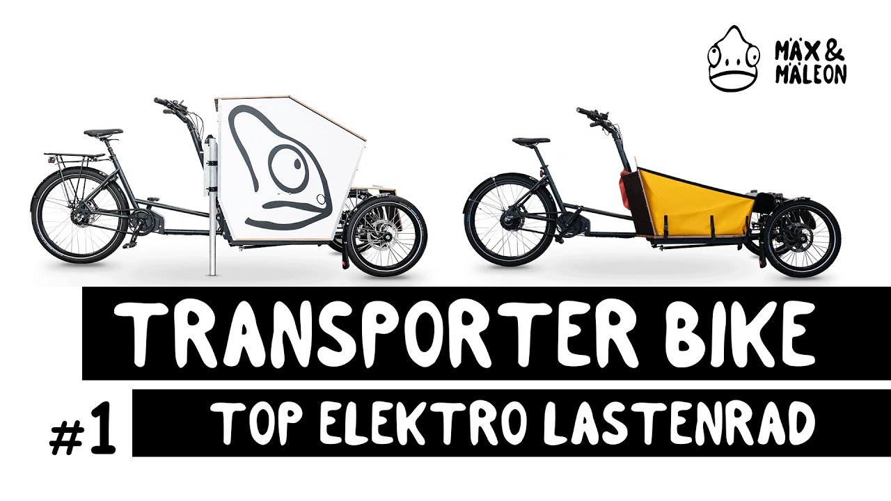Starkes Elektro Lastenrad für Cargo, Hunde, Gewerbe | Transporter Bike