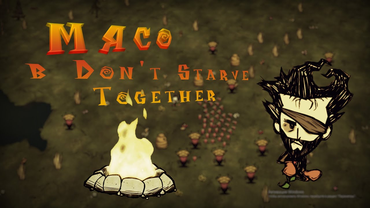 мясо в Don't Starve Together|все о мясе