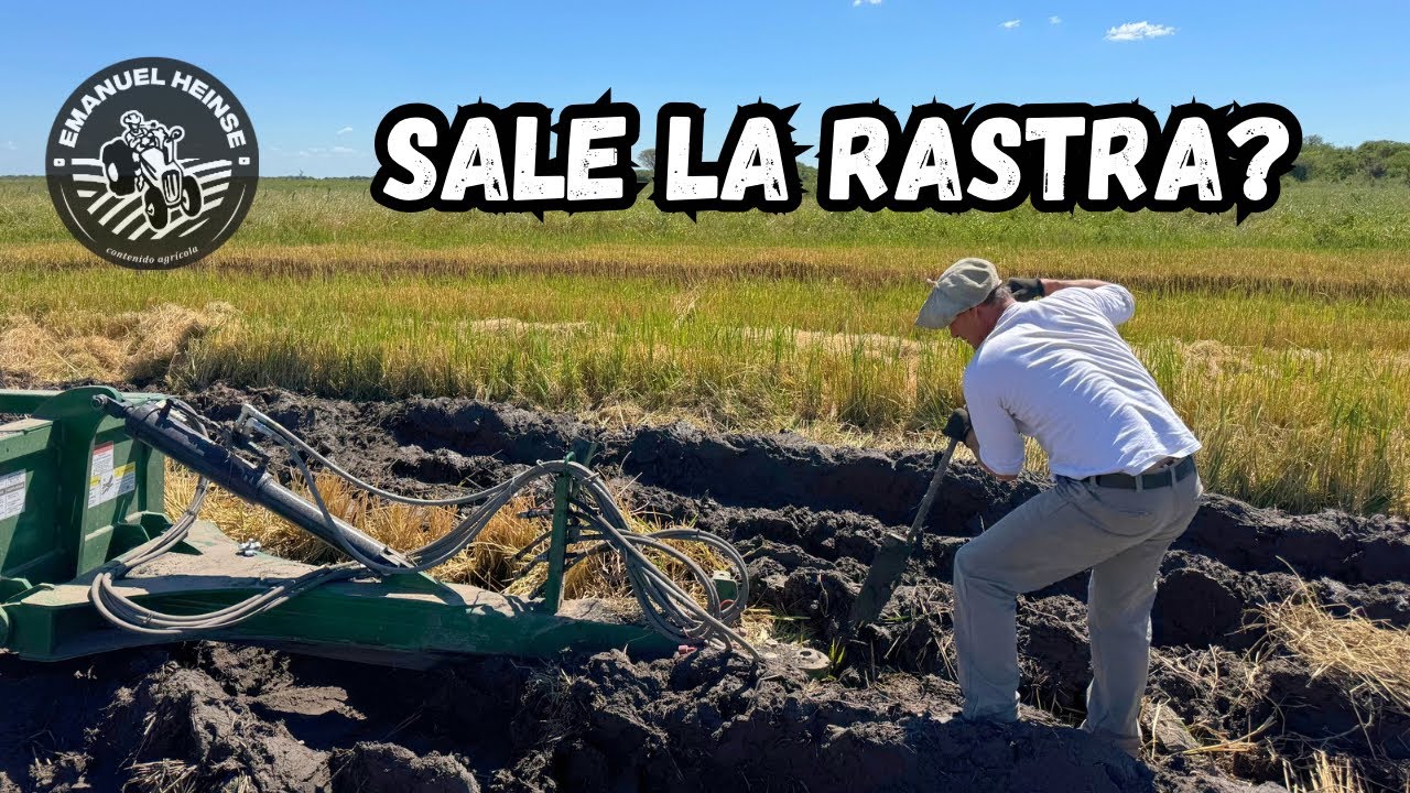 ME CANSÉ DE QUEDARNOS ENCAJADOS EN EL BARRO