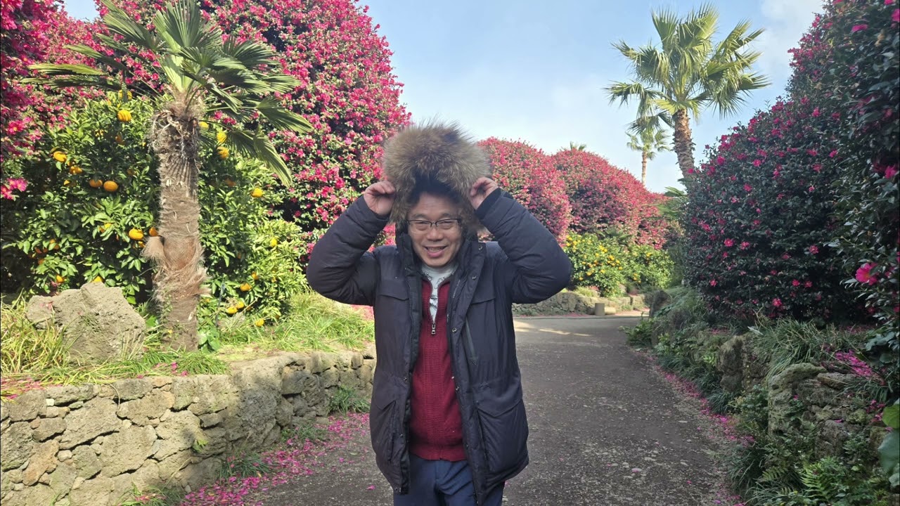 포동이네 제주동백여행