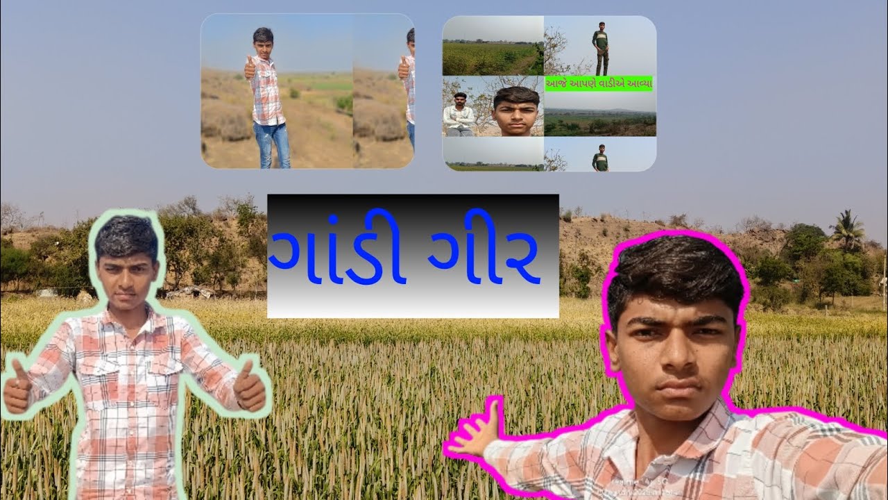 આજે તો આપણે વાડીએ જુવાર વાઢવાનું ચાલુ થઈ ગયું