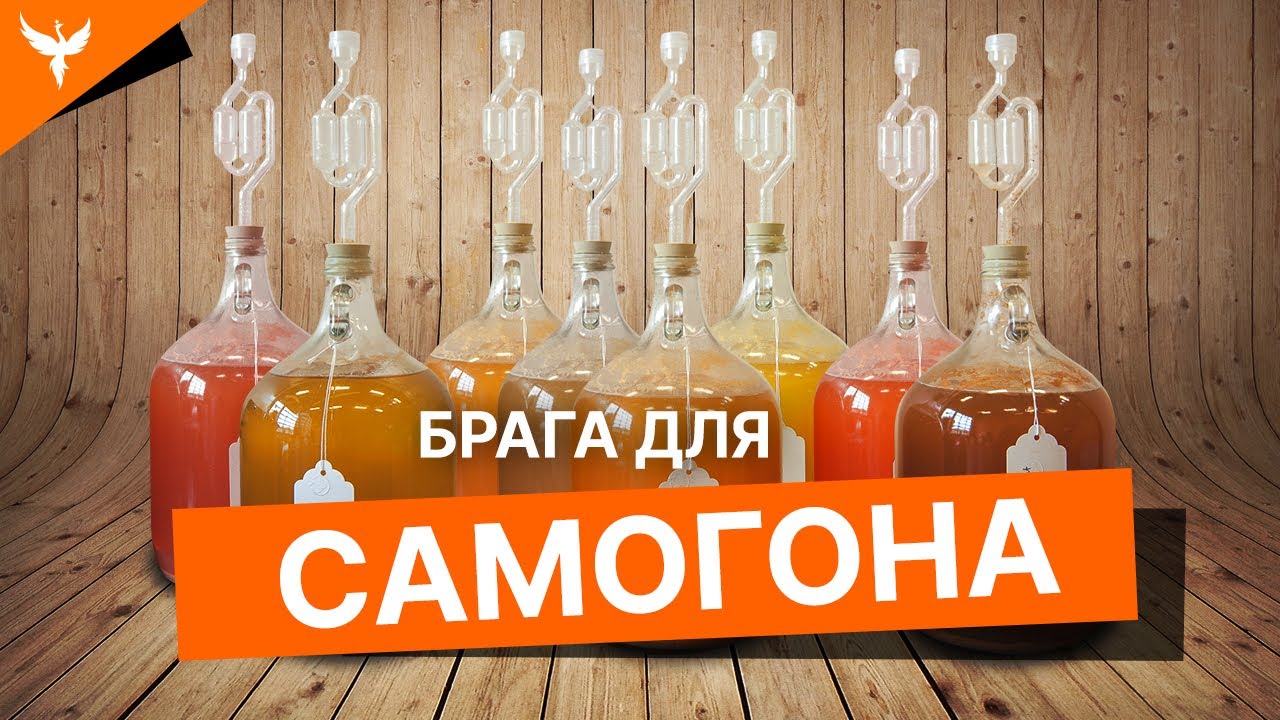 Брага для самогона/ Когда сусло становится брагой/ Стадии брожения