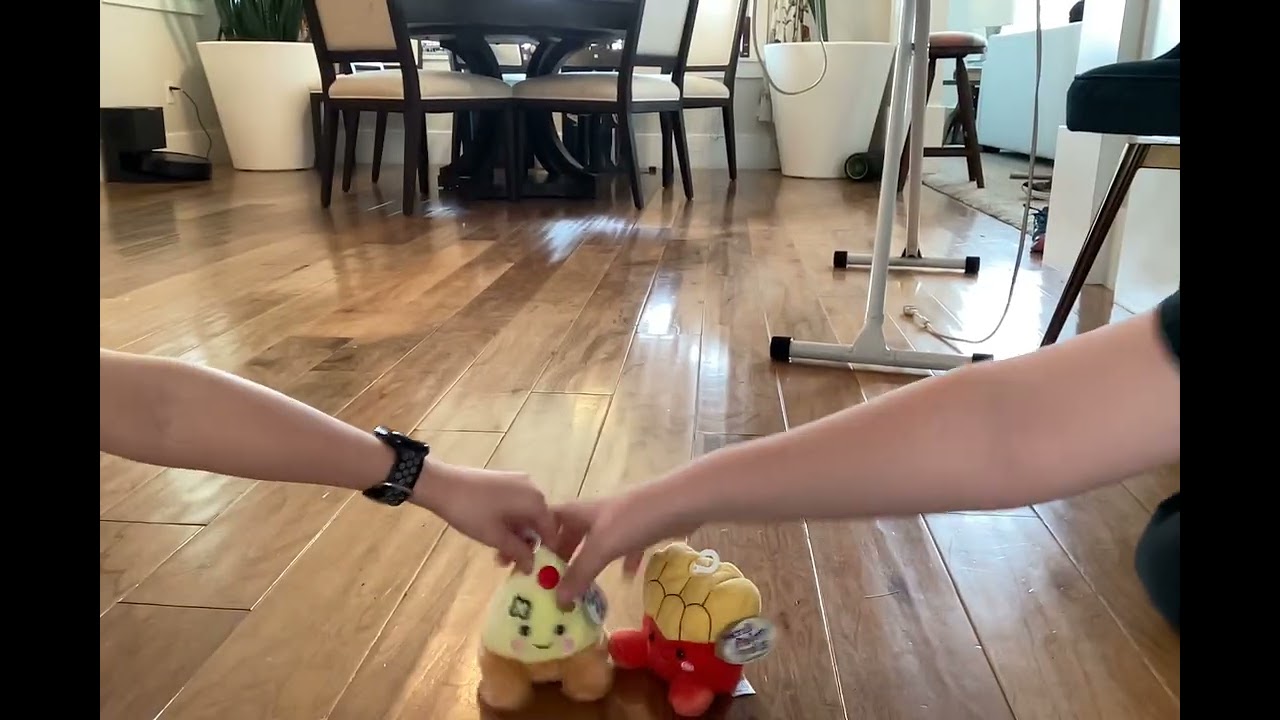 palm pals the first