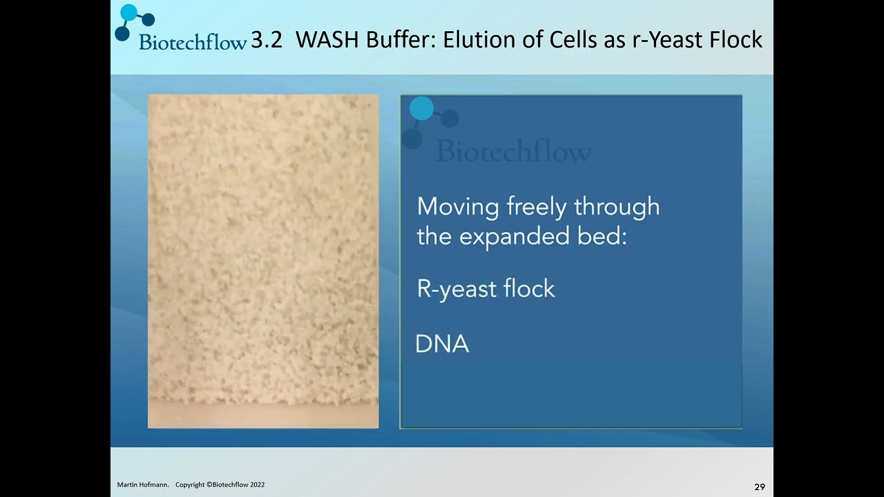 Biotechflow-Expanded Bed Adsorption Chromatography