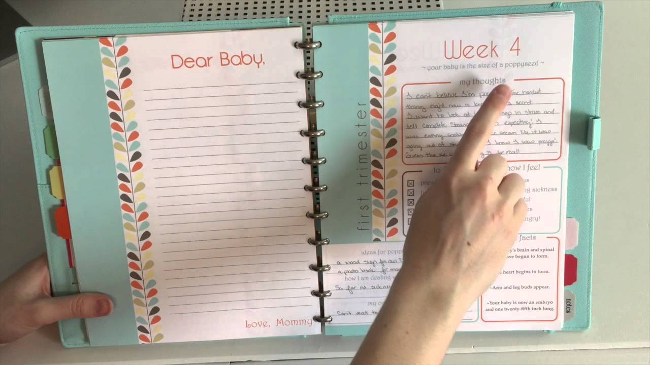 Favorite Pregnancy Planner - Bump Planner by Breezy Organization