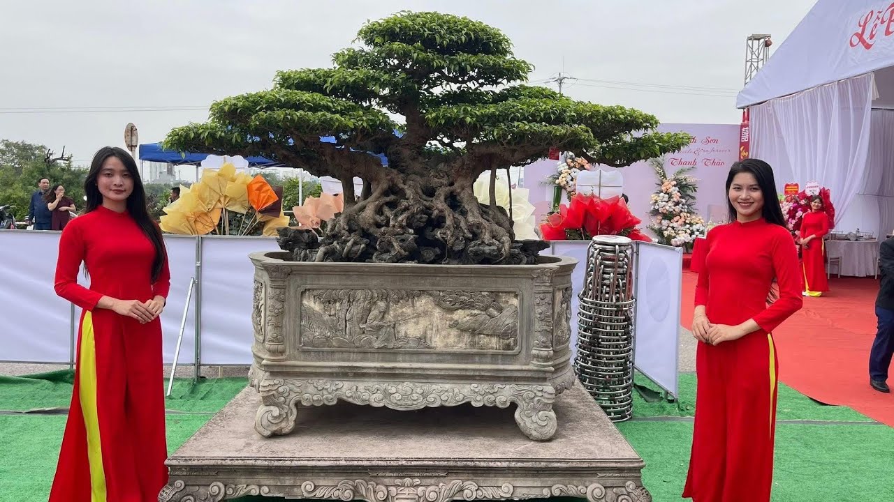 Không gian sân vườn chú Hiền tại Long Biên ☎️ 0839426768 chia sẻ Quý vị