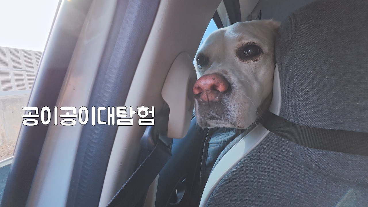 공이공이대탐험 [ep.01]