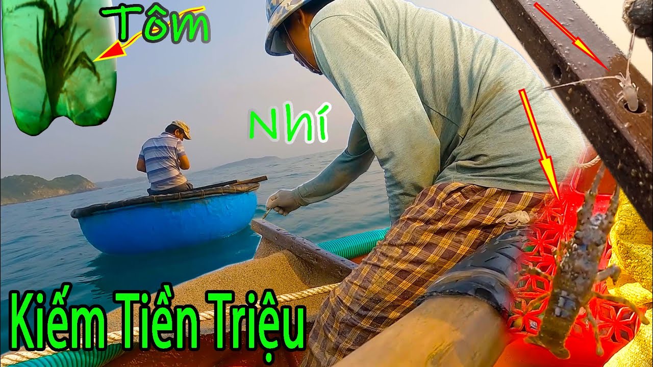 ĐỘC ĐÁO NGHỀ RẬP TÔM HÙM NHÍ,Kiếm Tiền Triệu Chỉ 2 Tiếng Đồng Hồ.