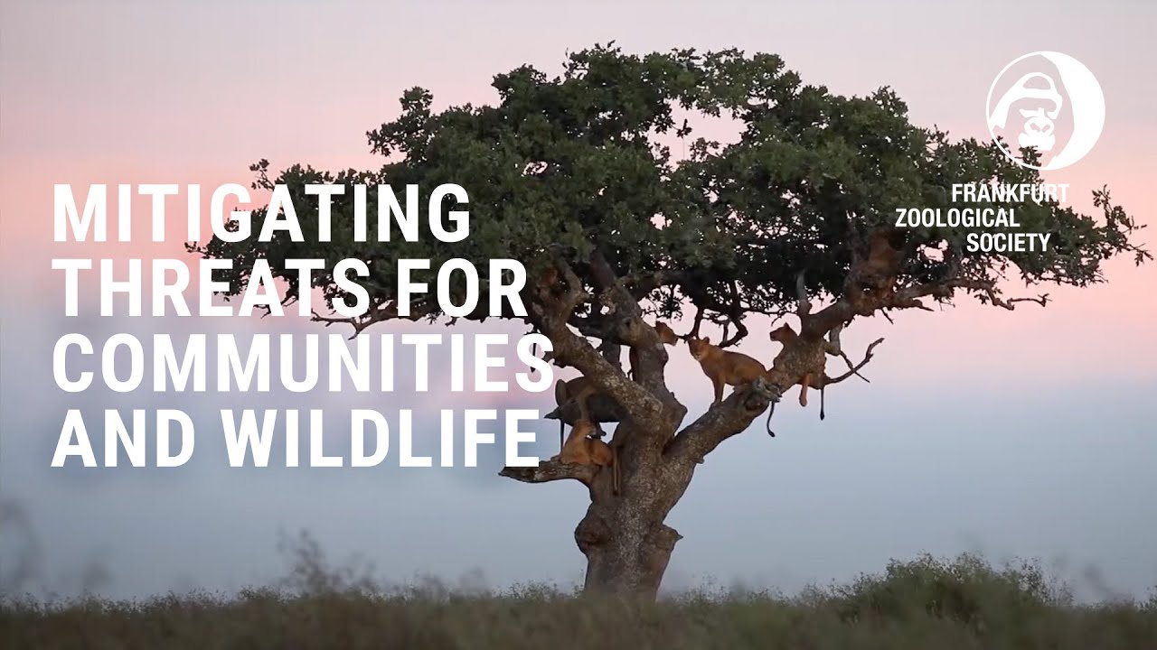 Human-wildlife co-existence in Western Serengeti