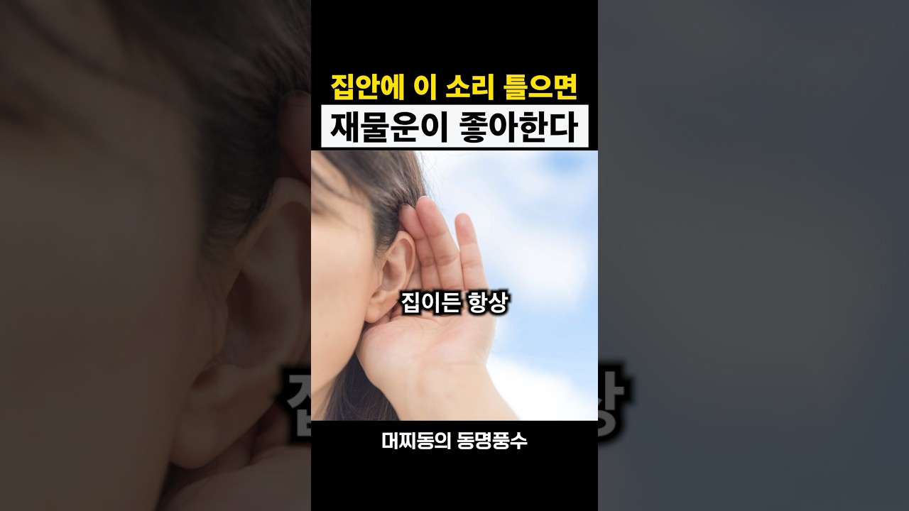 집안에서 꼭 틀어놓으세요. 저도 매일 합니다 #풍수인테리어