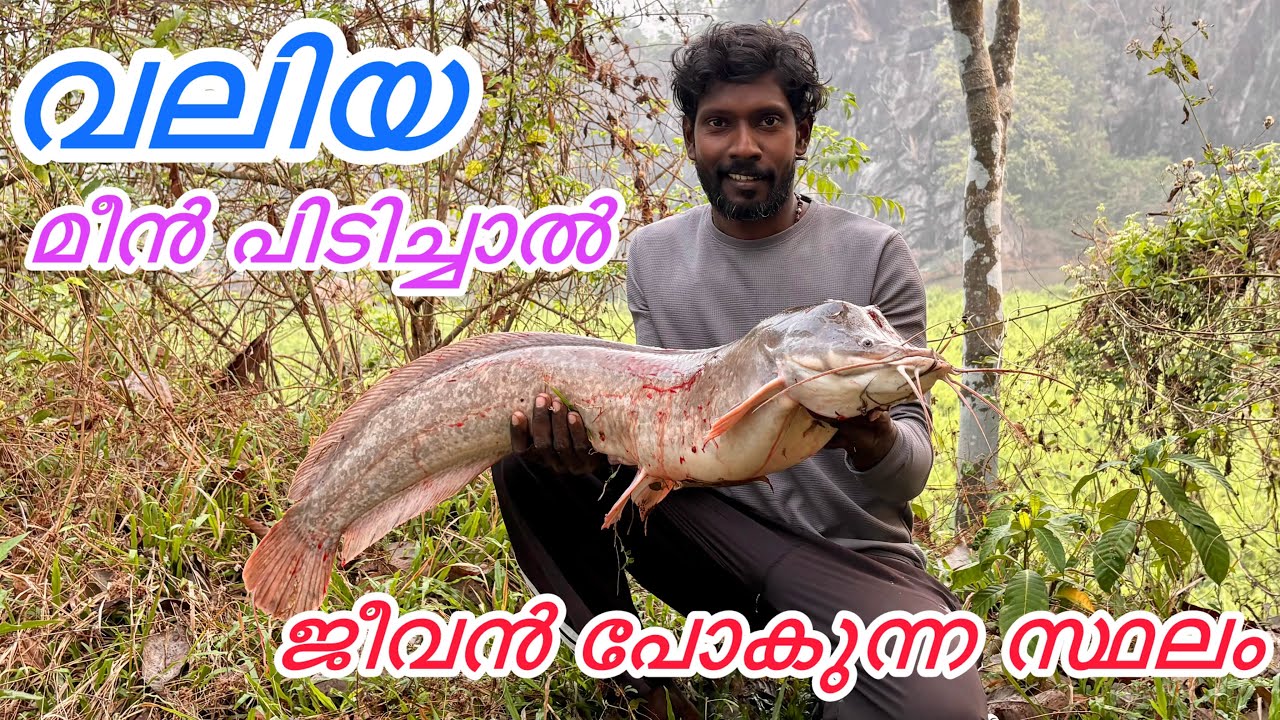 വലിയ മീനുകളെ പിടിച്ചാൽ ജീവൻ നഷ്ടപെടുന്ന സ്ഥലം 