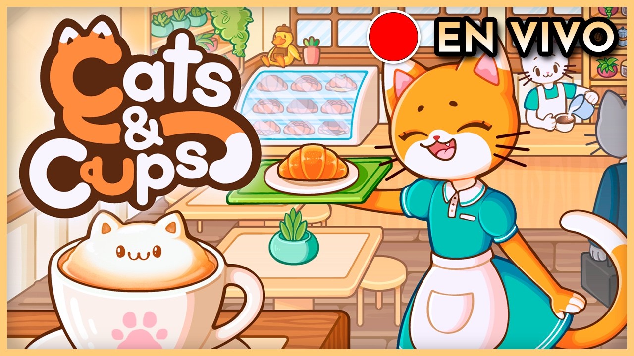 VIVO ✨ Cats & Cups + SORTEO