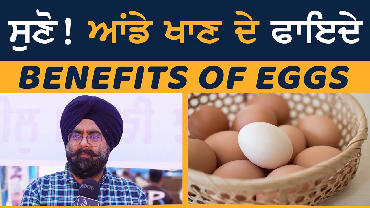 Benefits of Eating Eggs | ਸੁਣੋ !  ਆਂਡੇ ਖਾਣ ਦੇ ਫਾਇਦੇ ! | Eating Eggs | Sirlekh