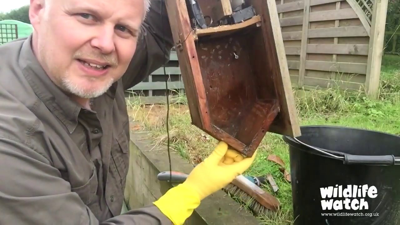 How to clean a nest box