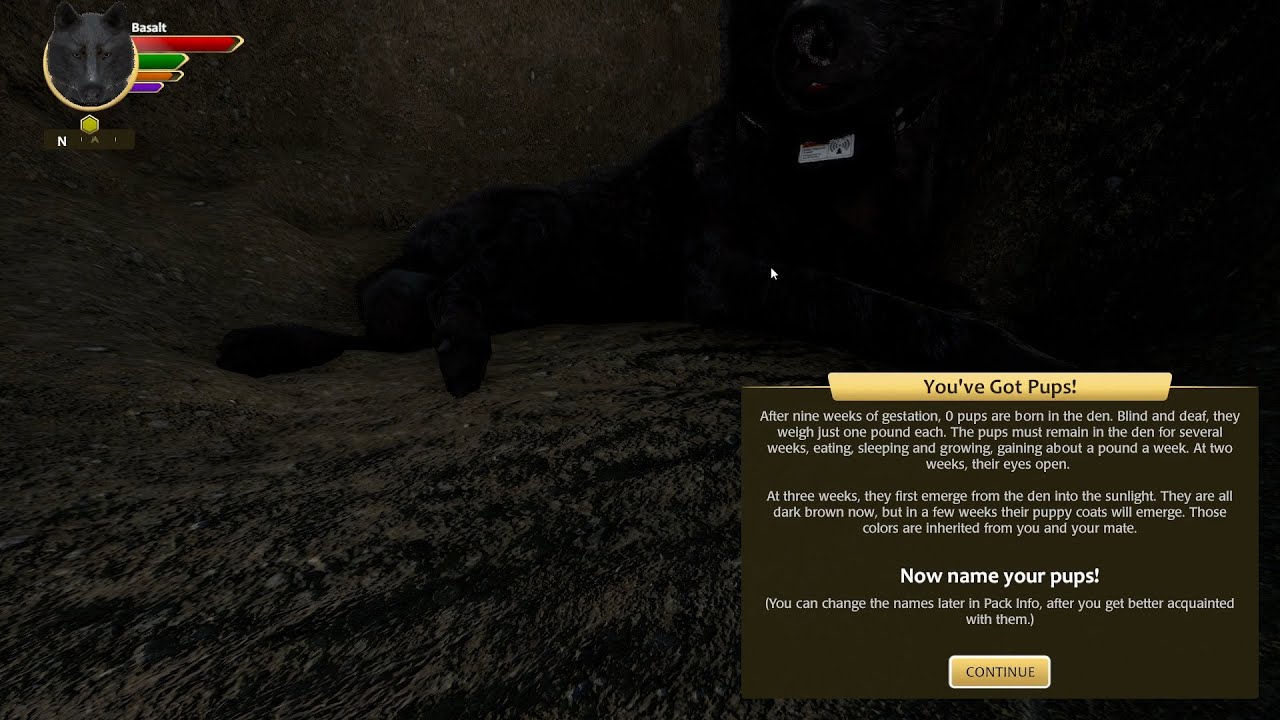 Wolfquest No Pups Born Glitch