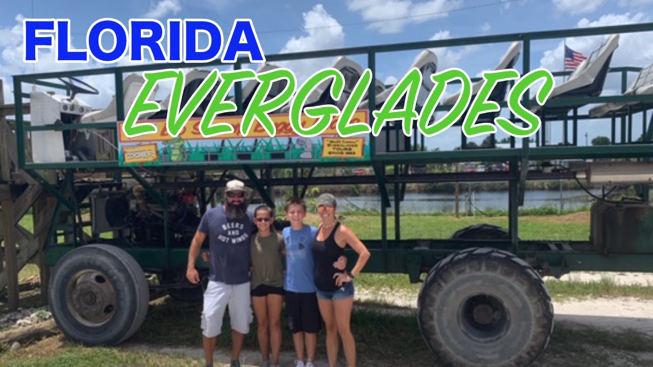Swamp Buggy Tours Everglades [Bears, Gators & Frog Legs!] #Florida
